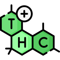 Sementes de Cannabis com Alto Teor de THC