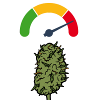 Variedades de Sementes de Canábis Mais Potentes