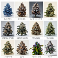 Variedades de Canábis