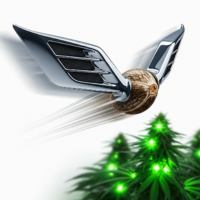 Sementes de Canábis Fast Version