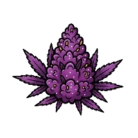 Variedades de Canábis Roxas