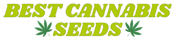 BestCannabisSeeds.pt