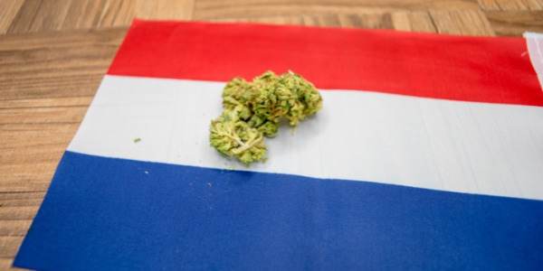Quais são os preços da canábis na Holanda